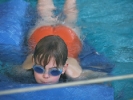 Rund 350 Wasserratten im Hallenbad