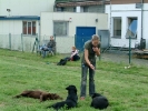 Limmer-West - Limmer-Fest