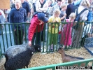 Oekumenischer Kirchentag 2003 (OEKT) - Einf