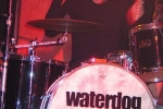 Schwedischer Hard-Pop-Punk: Waterdog hat Alfeld gerockt