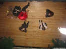 Bilder: Die kleine Hexe (BBS Alfeld)