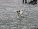 Maschsee On Ice 2002 (Galerie)